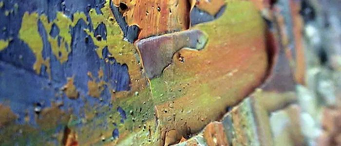 paint-johfrim1